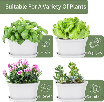 Windowsill Garden Pots, White Plastic Flower Pots with Drainage Tray for Herb, Succulents, African Violet (Pack of 6)