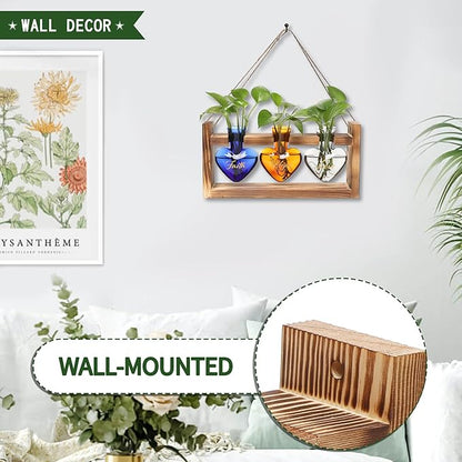 Plant Terrarium Propagation Stations Faith Hope Love Hydroponics Home Garden Decoration Gift for Women with Wooden Stand Heart Shaped Colored Glass Vase