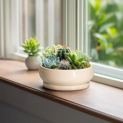 Succulent Pots 8 Inch - Ceramic Bonsai Pots with Drainage Hole and Tray, Shallow Plant Pot Indoor Outdoor, Bonsai Tree Pot, Round Modern Planter Bowl, Garden Decor, Gardening Gift, Beige
