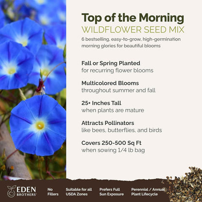 Eden Brothers Top O The Morning Flower Mixed Seeds for Planting, 1/4 lb, 120,000+ Seeds with Morning Glory, Moonflower | Attracts Pollinators, Plant in Spring or Fall, Zones 3, 4, 5, 6, 7, 8, 9, 10