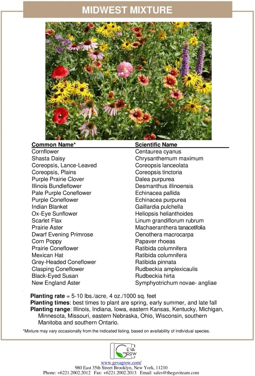 Regional Wildflower Seed Mix by GevaGrow (Midwest Wildflowers, Mini Shaker)