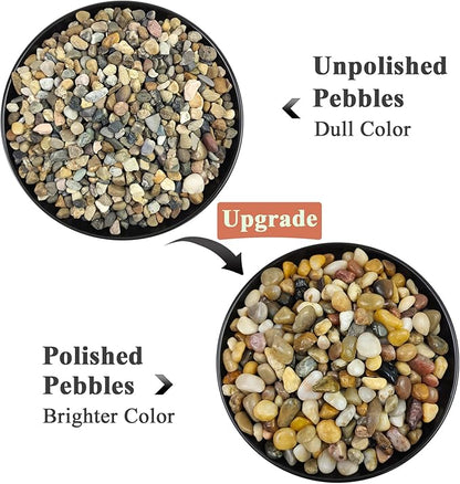 2 Pounds Pebbles for Plants, 3/8 Inch Polished Pea Gravel. Decorative Stones River Rocks for Succulent Soil Cover, Cactus, Aquarium, Vase and Outdoor Garden Landscaping