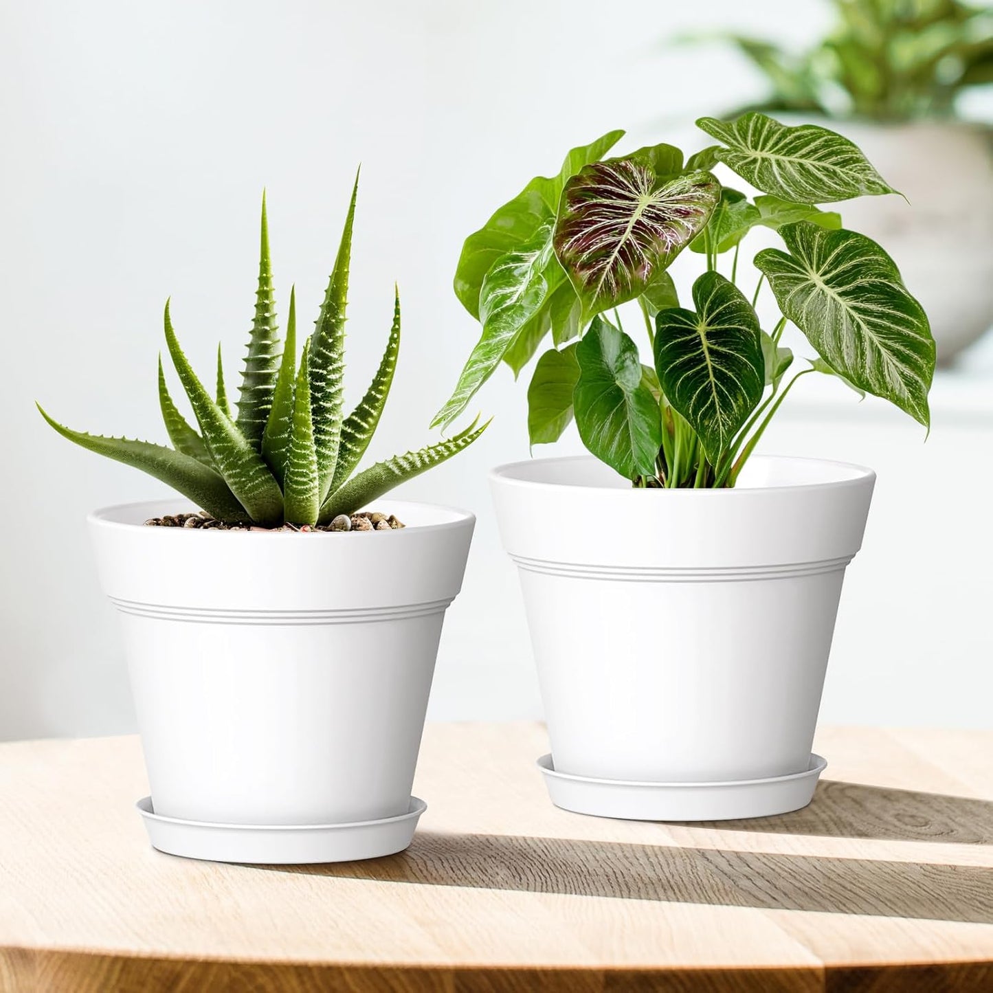 7 Inch Thick Plastic Plant Pots with Drainage Holes and Trays – 6 Pack Nursery Pots for Indoor & Outdoor House Plants, Seedling Starter Planters for Garden Flowers, White