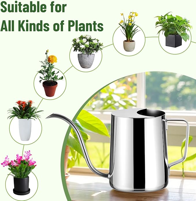 Watering Can for Indoor Plants, Indoor Watering Can with Long Spout and Handle Rust-Proof 304 Stainless Steel Material (600ml/20oz)