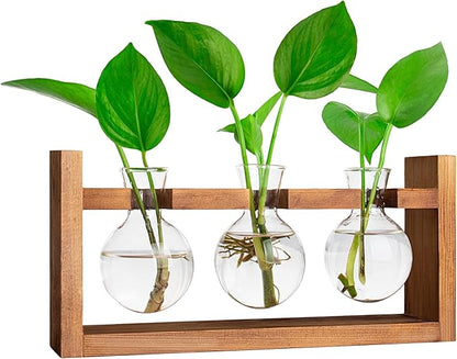 Propagation Station, Plants Terrarium, Plants Lover Gifts for Women,Plant Cutting Holder Home décor,Gifts for Women,House Warming New Home-3 Bulbs-Easy