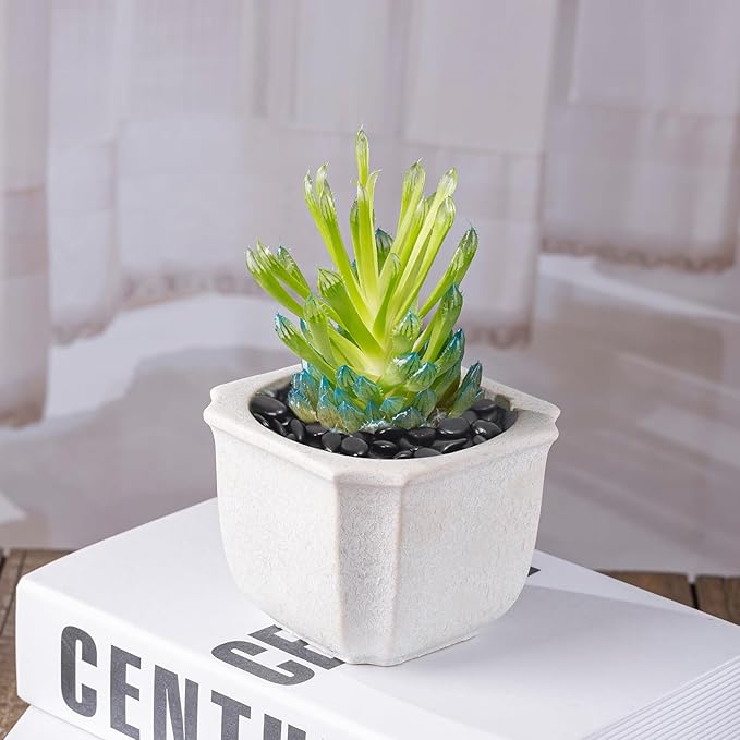 2.2LB Black Pebbles for Indoor Plants, Vases, Succulent, 3/8 Inch Small Black Rocks for Plants, Polished & Decorative