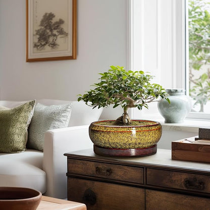 Bonsai Pots Ceramic - 10 Inch Succulent Planters Indoor Outdoor, Shallow Planter with Drainage Hole and Saucer, Round Planter Bowl, Succulent Pots, House Decor, Gifts for Plant Lover, Yellow