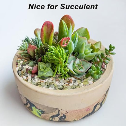 Landscaping Pebbles River Rocks Decorative Ornamental Pebbles Garden Landscaping Stones Gravel Filler for Home Decoration Flower Bed Fish Tank Plants Vases Succulents (1, Green, 5 Pounds)