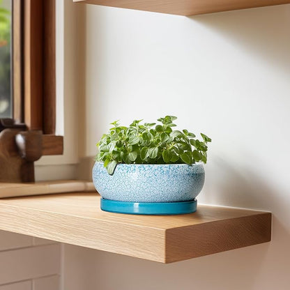 Bonsai Pots Small - 6 Inch Succulent Pots with Drainage Hole and Saucer, Succulent Planters for Indoor Outdoor, Shallow Plant Pot, Round Bonsai Planter, Office Decor, Plant Lover Gifts, Blue