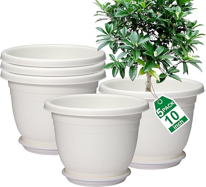 5 Packs 10 inch Plant Pots + Saucer, Planters for Indoor & Outdoor Plants with Drainage Holes | Plastic Flower Pots, Large Planter (Beige, 10 inch)