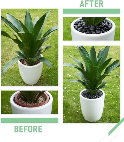 GASPRO 8lb Black River Rocks for Plants, Vases, 1 to 2 Inch Decorative Pebbles for Pots Indoor, High Polished