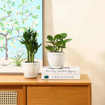 Sureasy Ceramic Plant Pots, 4.7 Inch Flower Pots for Indoor Plants, Succulent Pots with Saucer and Drainage Hole, Decorative Planter for Succulent, Cactus, Set of 4, White