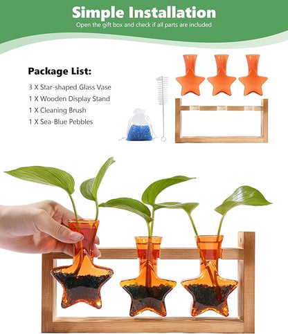 Nacome Star Glass Propagation Stations: Plant Terrarium with Wooden Stand Vase for Home Office Desk Decor, Unique Gifts for Plant Lovers Women Mom (Orange)