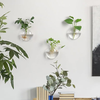 Wall Propagation Planters 6 Pack Glass Wall Planters Propagation Stations Wall Mount Plant Holder Wall Pots for Plants Indoor Wall Hanging Vases Terrariums Indoor Hydroponic Decor