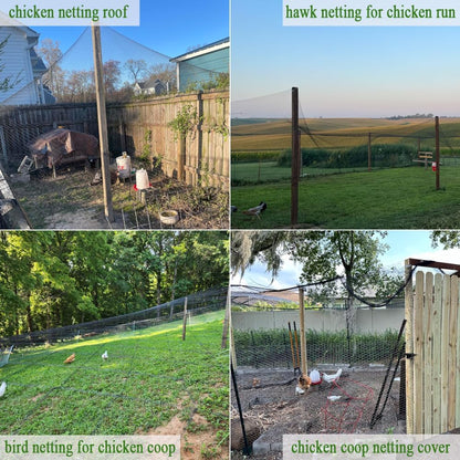 Bird Netting for Chicken Coop 50x50 Ft, 1" Mesh, Strong Woven Poultry Netting Roof Cover for Chicken Run, Heavy Duty Bird Net for Fruit Trees, Blueberry, Vegetables, Garden Protection