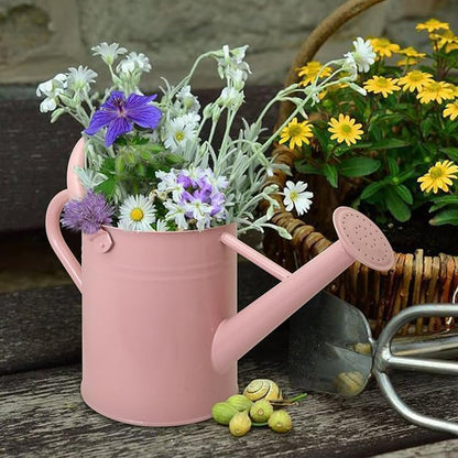Metal Watering Can with Removable Spout, Galvanized Watering Can, Perfect for Indoor Use and for Outdoor Use (1 Gallaon, Pink)
