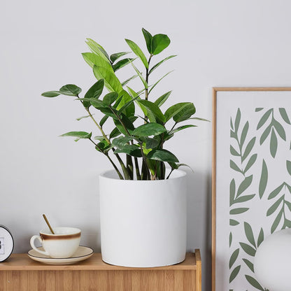 8 Inch Pot for Plants, Large Cement Planter with Drainage Hole, Mid-Century Modern Concrete Flower Pots for Home Decor, Office & Outdoor (White)