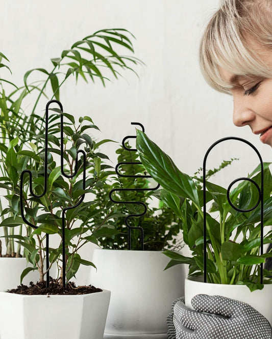 Small Plant Trellis for Climbing Plants Indoor - 13.8 Inch Trellis Indoor with Different Patterns for Vine Ivy Flower Plant Support, Metal Garden Trellis for Potted Plants, Set of 4 (Black)