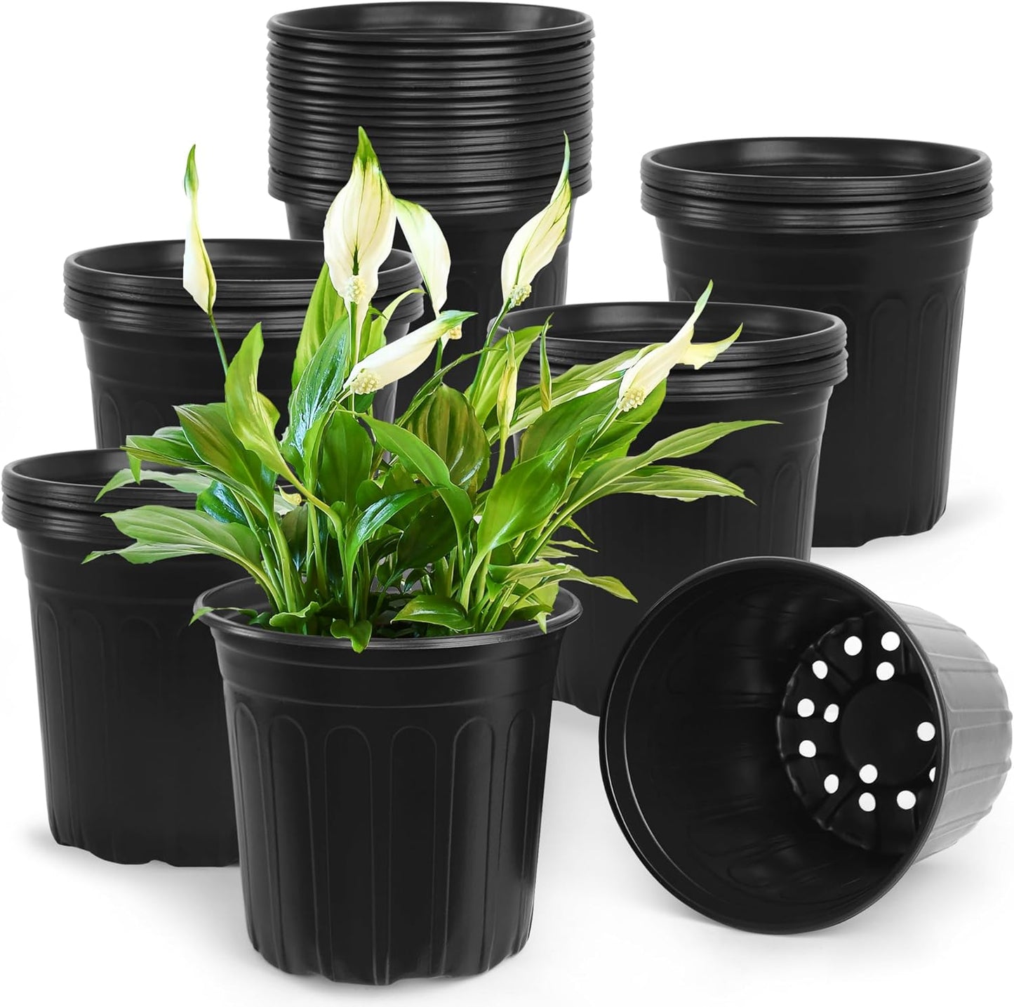 50 Pcs 2 Gallon Nursery Pots,Thickened Soft Plastic Plant Pots with Holes,Garden Flower Seedling Pot Container for Seedling,Cuttings,Transplanting (Black)