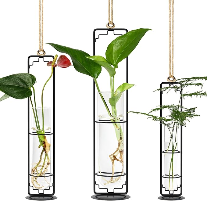 MIPON Plant Propagation Stations,Hanging Glass Propagation Test Tube Vases for Plants with Gold Metal Stand for Hydroponic Cutting Home Garden Office Decor-Black