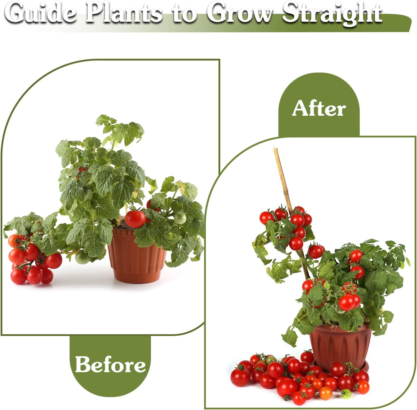 Plant Stakes 18inch, 20Pcs Natural Bamboo Sticks Garden Stakes, HAINANSTRY Plant Support Stakes for Indoor & Outdoor Plants, Orchid Tomato Vegetable Stakes for Garden