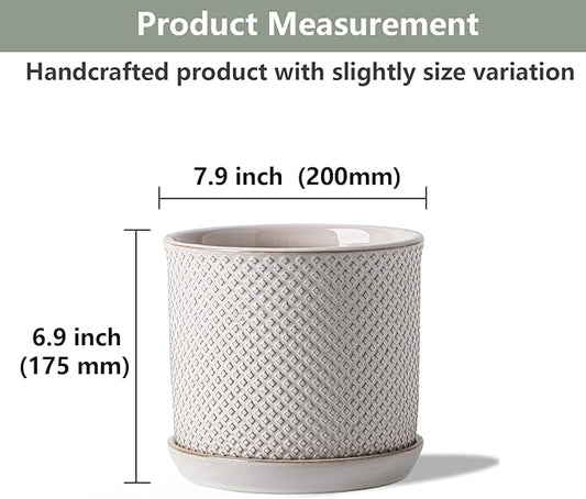 8 Inch Plant Pots: Ceramic Planter with Drainage Hole & Saucer - Flowerpot for Indoor & Outdoor Plants - Beaded Embossed Design White - with Separate Tray