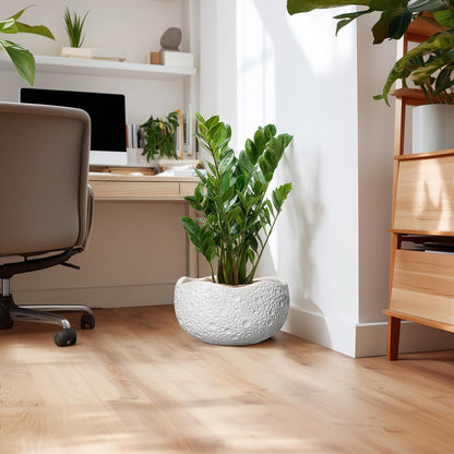 Large Bonsai Pots - 13 Inch Ceramic Planter for Indoor Outdoor, Round Plant Pot, Decorative Flower Pots with Drainage Hole, Modern Unique Planters, Garden Decor Home, Garden Gifts, White