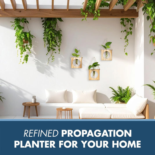 · GARDEN REPUBLIC · Propagation Stations Set of 2 - Propagation Vases for Plants - Hanging Wooden Wall Planter and Glass Test Tubes - Indoor Plant Holder, Hydroponic Decor
