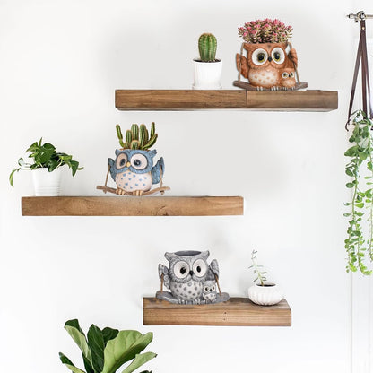Swing Owl Hanging Planters for Indoor Plants, Cute Small Succulent Pots with Drainage Hole, Unique Resin Plant Hangers Outdoor, Hanging Plant Holder for String Of Pearls, Gift Ideas for Mother