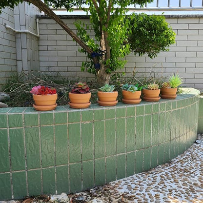 Yishang 4.4 Inch Shallow Terracotta pots with Saucer/Tray,Ceramic Clay Cactus/succlent Container with Drain Hole,Small unglazed Planter for Indoor/Outdoor Plants, Crafts