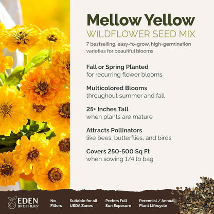 Eden Brothers Mellow Yellow Flower Mixed Seeds for Planting, 1/4 lb, 120,000+ Seeds with Painted Daisy, Zinnia, Cosmos | Attracts Pollinators, Plant in Spring or Fall, Zones 3, 4, 5, 6, 7, 8, 9, 10