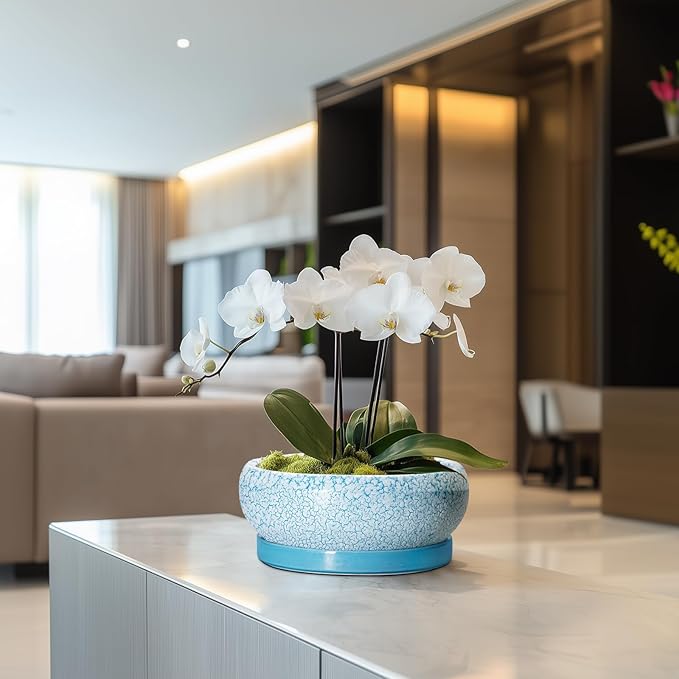 Succulent Pots 8 Inch - Ceramic Bonsai Pots with Drainage Hole and Saucer, Succulent Planters for Indoor Plants Outdoor, Round Shallow Planter Bowl, Porch Decor, Gardening Gifts, Blue