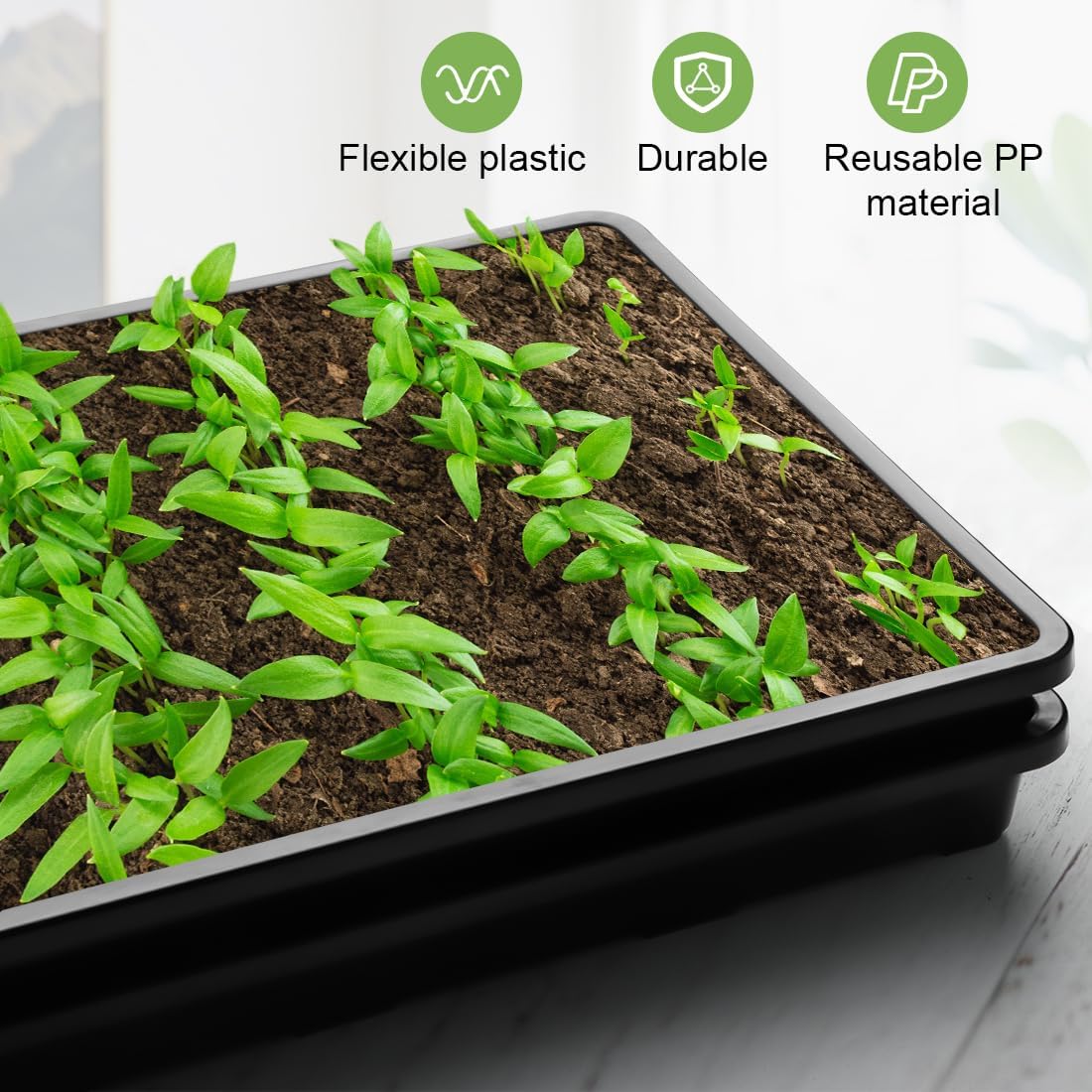 10 Pack Nursery Pots Trays (17"x11"x2"), Plastic Flat Seed Starter Trays, Durable Carrying Seedling Starter Tray, Reusable Tray for Planting and Collecting Drainage Water (Black)