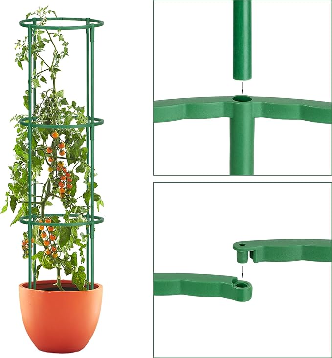 24 Pcs Plant Support Stakes, Half Round Plant Support for Indoor Plants, Stackable Garden Flower Support, Plant Stakes for Tomato, Monstera, Peony, Hydrangea Climbing Plants (6.2 "Wide X 11.6" High)