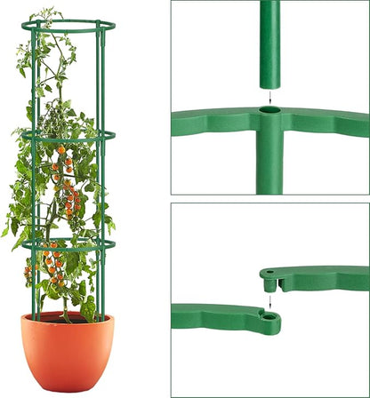 24 Pcs Plant Support Stakes, Half Round Plant Support for Indoor Plants, Stackable Garden Flower Support, Plant Stakes for Tomato, Monstera, Peony, Hydrangea Climbing Plants (6.2 "Wide X 11.6" High)