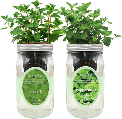 2-Pack Hydroponic Mason Jar Herb Garden Kit, Indoor Herb Garden Self-Watering Starter Kit (Mint,Peppermint)
