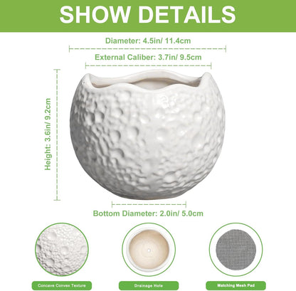 4 inch Plant Pots - Ceramic Pots for Plants with Drainage Hole, Small Planter for Indoor Outdoor, Unique Succulent Pot, Decorative Modern Round Planter, Desk Decor, Plant Lover Gifts, White