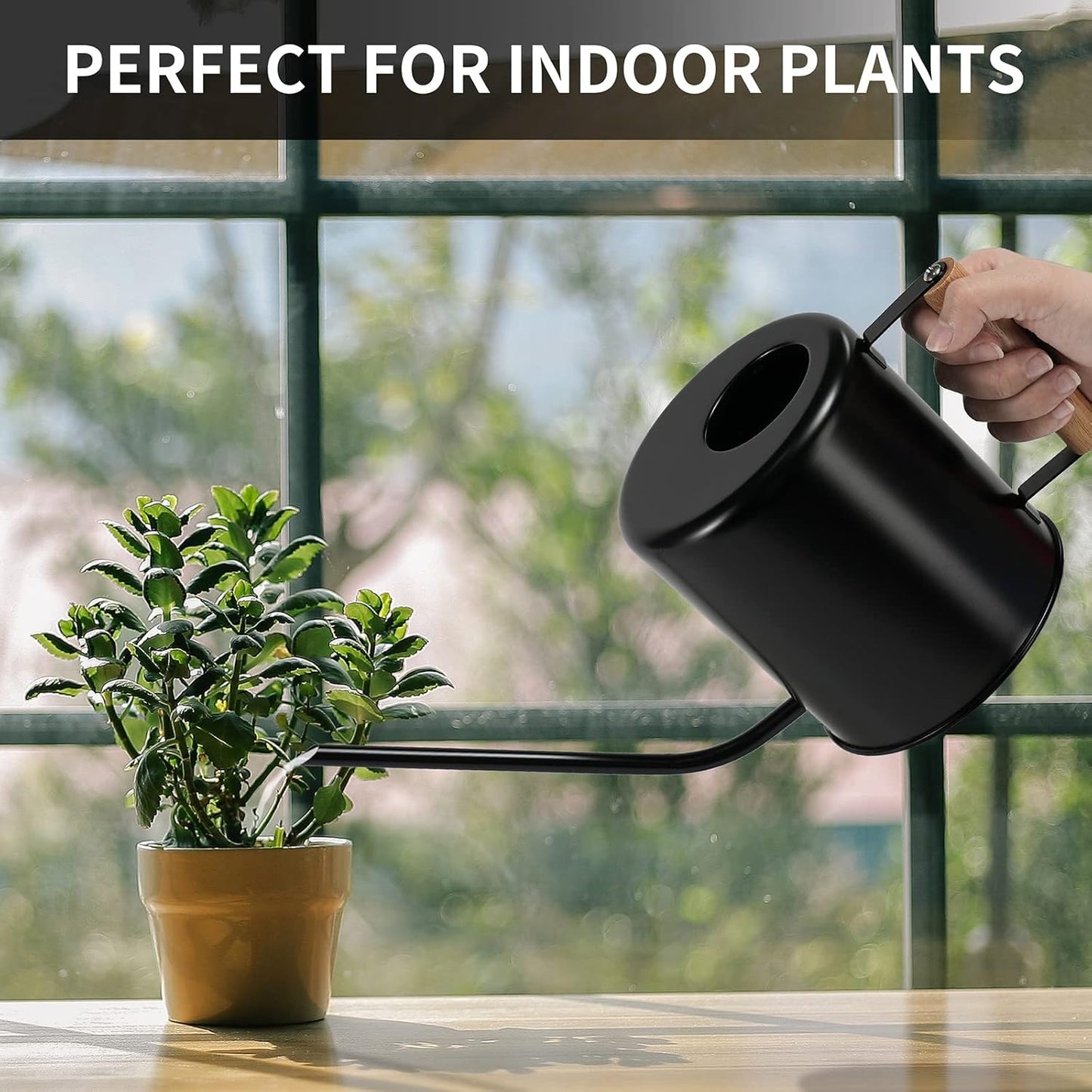 1.5 Liter Black Watering Can for Indoor Plants, House Plants, Flower Watering, Outdoor Plants - Small Metal Watering Can with Long Spout