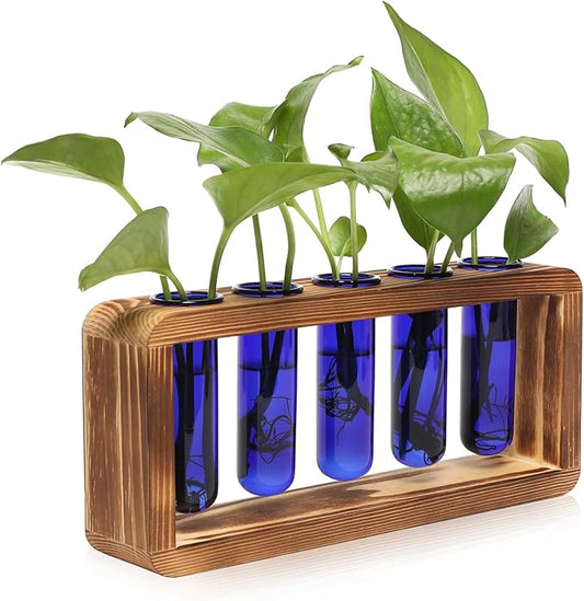 Glass Plant Propagation Station with 5 Test Tubes Colorful Planter Vase Birthday Gifts for Women in Wooden Stand