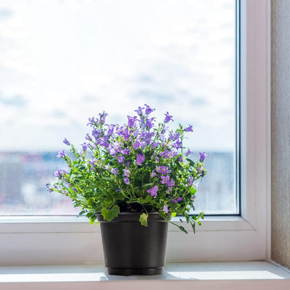 MIXC Plant Nursery Pots with Humidity Dome 4" Soft Transparent Plastic Gardening Pot Planting Containers Cups Planter Small Starter Seed Starting Trays for Seedling with 10pcs Plant Labels，30 Sets…