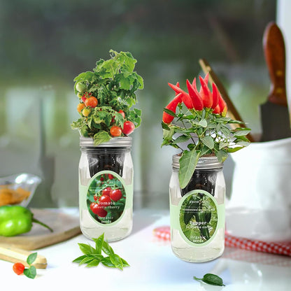 2-Pack Hydroponic Mason Jar Herb Garden Kit, Indoor Herb Garden Self-Watering Starter Kit (Cherry Tomato,Pepper)