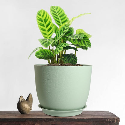 Modern Plant Pots Set, 9/8/7.5 inch Plastic Planters for Indoor Plants, Stylish Flower Pots with Drainage Holes and Saucers for House Plants and Flowers, Green