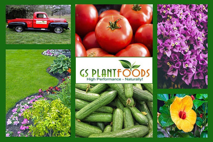 Omri Listed Fish & Kelp Fertilizer by GS Plant Foods (5 Gallons) - Organic Fertilizer for Vegetables, Trees, Lawns, Shrubs, Flowers, Seeds & Plants - Hydrolyzed Fish and Seaweed Blend (5 Gallon)