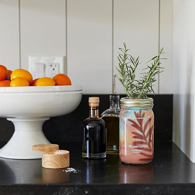 Modern Sprout Garden Jar & Herb Stripper Bundle, Self-Watering Herb Grow Kit w/Recyclable Mason Jar + 3-in-1 Prep, Peeler & Grater Plate, Indoor Gardening & Kitchen Gift Set (Rosemary & Parsley)