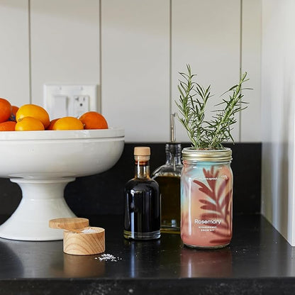 Modern Sprout Garden Jar & Herb Stripper Bundle, Self-Watering Herb Grow Kit w/Recyclable Mason Jar + 3-in-1 Prep, Peeler & Grater Plate, Indoor Gardening & Kitchen Gift Set (Rosemary & Parsley)