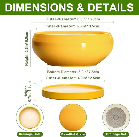 Succulent Pots with Drainage Hole - 6 Inch Ceramic Bonsai Pots for Indoor Outdoor, Shallow Plant Pot with Saucer, Bonsai Planter, Round Succulent Planter, Patio Decor, Gardening Gift, Yellow