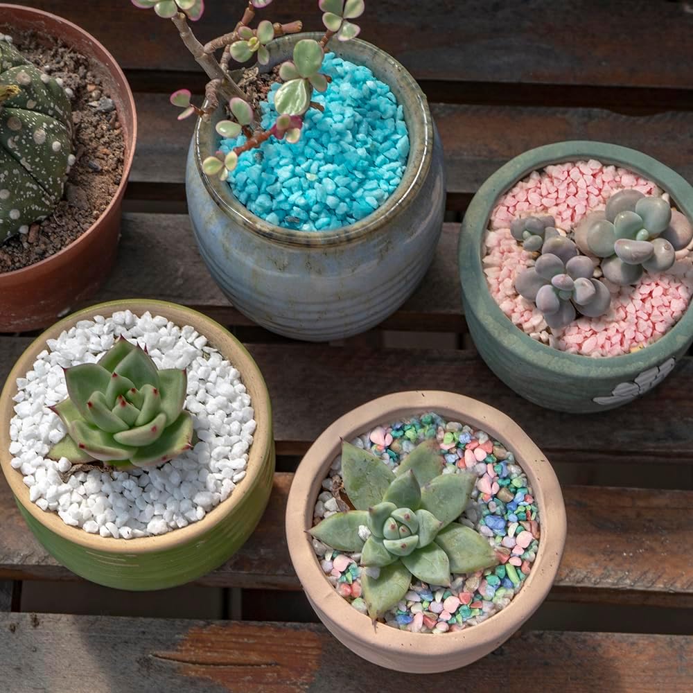 HappyFiller Colored Gravel,Indoor Plants Succulent Cactus Topper Dressing Pebbles,Polished Mini Stones 3-5mm for Aquarium Fish Tank,Fairy Garden Terrarium Decor,Vase Filler,Resin Arts Crafts,0.88 LB