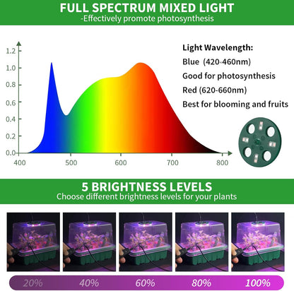 Seed Starter Tray with Plant Light, 2 Pack Grow Lights for Seed Starting Kit with Humidity Domes, Timing Controller Adjustable Brightness for Greenhouse Propagator Station Planting Growing
