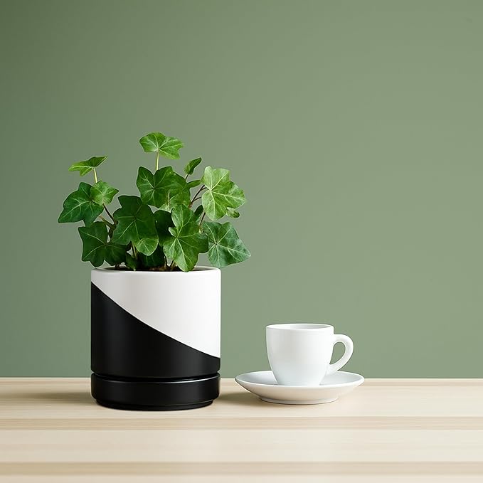 D'vine Dev 4.7 Inch Ceramic Planter Pot with Drainage Hole and Saucer, Indoor Cylinder Round Planter Pot, Oblique Monochrome Black and White, 94-O-B-K