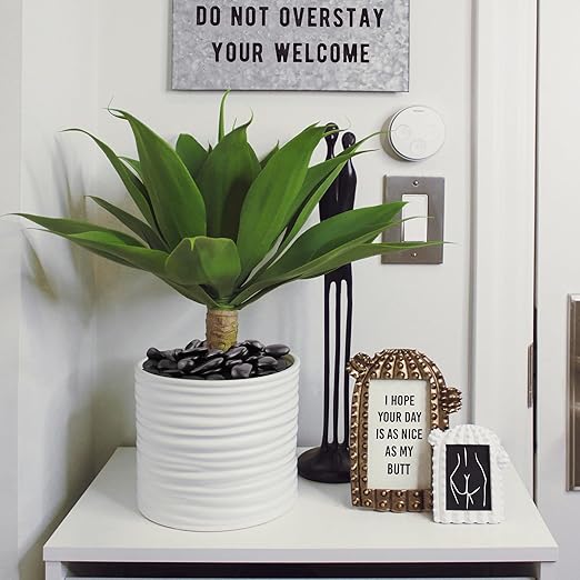 2lbs Black Pebbles for Indoor Plants, 1-2Inch Natural River Rocks for Aquarium, High Polished Decorative Stones for Vase Filler Fish Tank Landscaping Garden